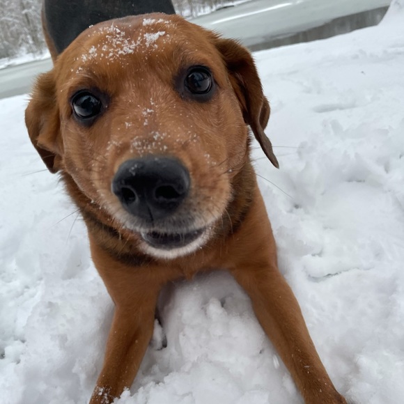 Welcome to My Closet! - Picture 3 of 6